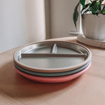 Stainless Steel Non-Slip Plate