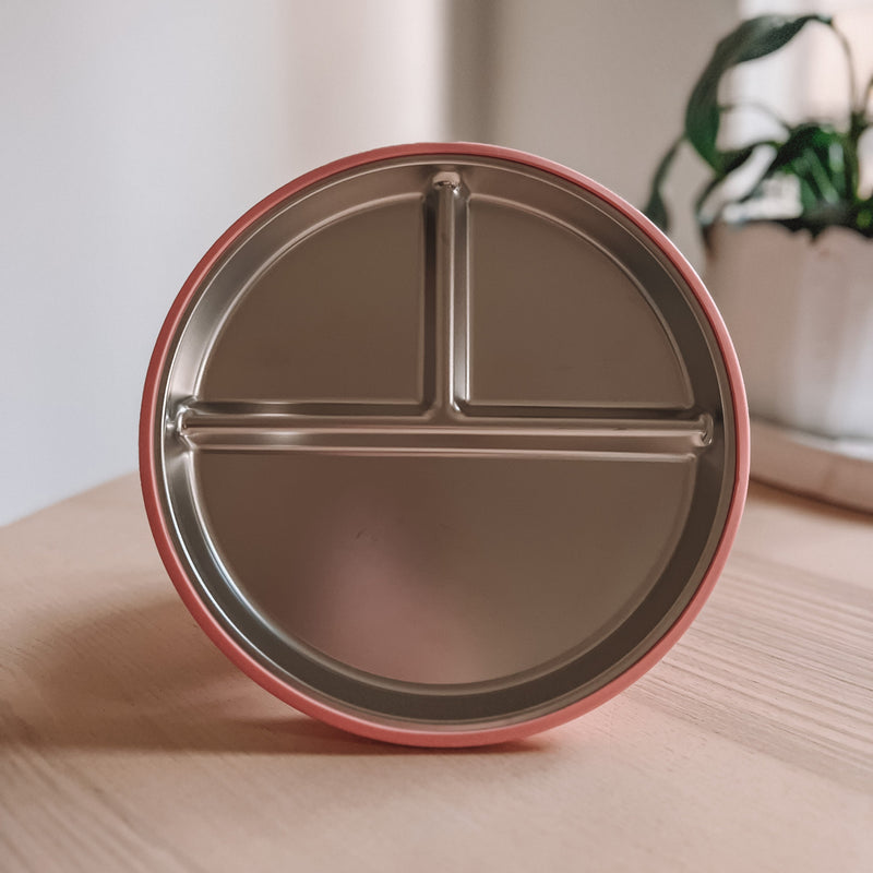 Stainless Steel Non-Slip Plate