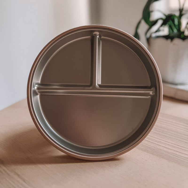Stainless Steel Non-Slip Plate
