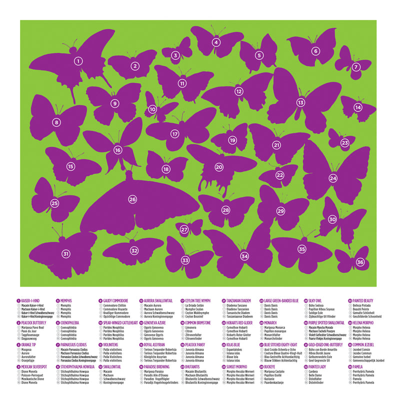 36 Animal Puzzle 100 PC - Butterflies