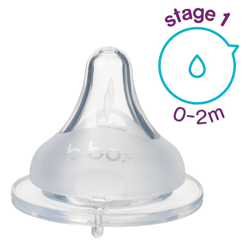 B.Box 2pk Baby Bottle Anti-colic Teat | Stage 1 (0-2M)