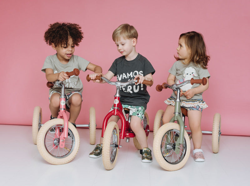 trybike red