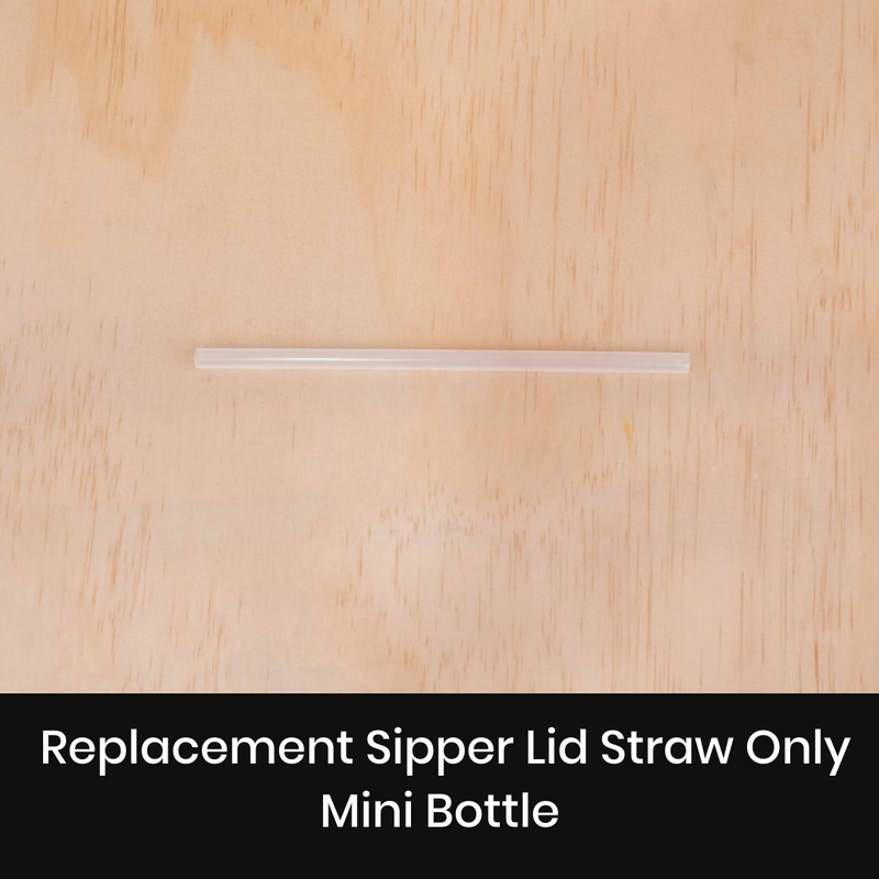 Replacement Straw | Mini