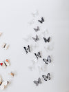 3D Butterfly Wall Decals - Black & White